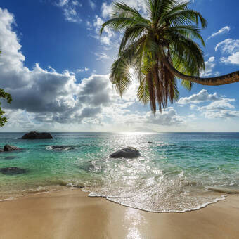 Traumstrand © lucky-photo - stock.adobe.com
