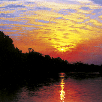 Sonnenuntergang über dem Amazonas 