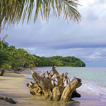 DIe Karibik-Küste Costa Ricas in der Nähe von Cahuita 