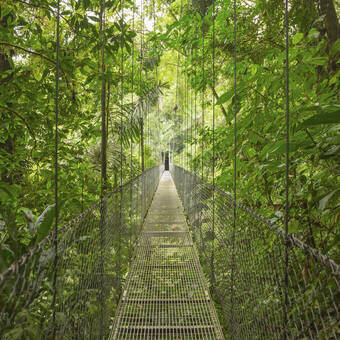 Spannende Hängebrückenüberquerung © PantherMedia / dmitriy-rnd