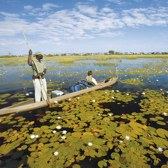 Im Mokoro unterwegs im Okavango-Delta 