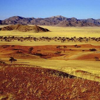Die Weite Namibias in der Namib-Wüste 