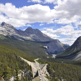 Unterwegs auf dem Icefields Parkway 