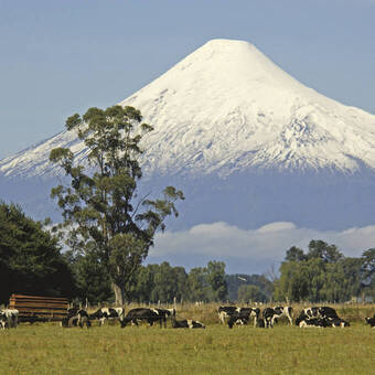 Der Vulkan Osorno (2.652 m) im südchilenischen Seengebiet 