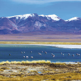 Der Salar de Atacama mit der Chaxa Lagune 