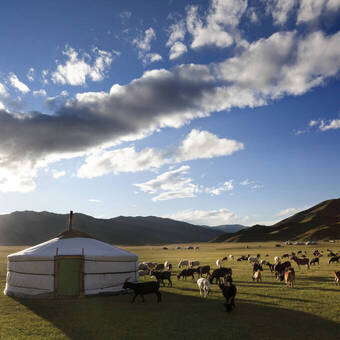 Jurte in der mongolischen Steppe 