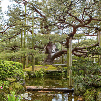 Kenrokuen, wunderschöner traditioneller Garten 