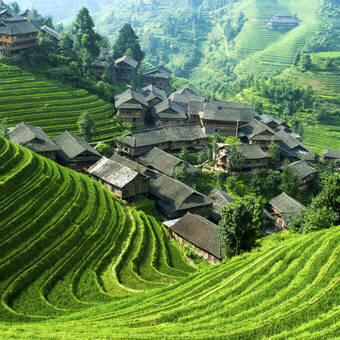 Farbenprächtige Reisfelder bei Longsheng, China 