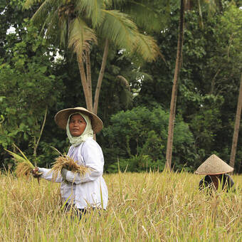 Begegnung auf dem Land 