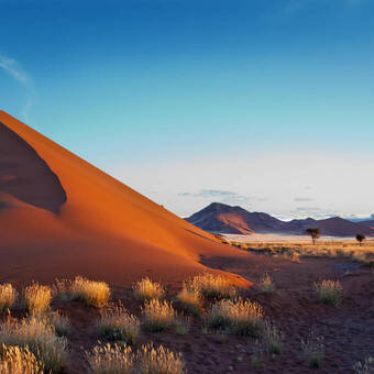 Die roten Dünen der Namiba Wüste ©Iuliia Sokolovska - stock.adobe.com
