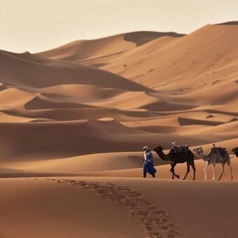 Unterwegs in der marokkanischen Wüste  © Marokko Inside/Ersel Karaman