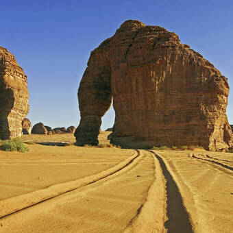 Der imposante Elephant Rock bei AlUla, 52m hoch 