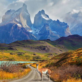 Patagonien © Kushnirov Avraham - stock.adobe.com