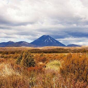 Mount Ngauruhoe - ein aktiver Vulkan im Tongariro-Nationalpark © PiLensPhoto - Fotolia