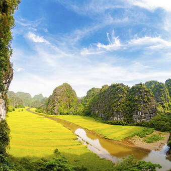 Reisfeld im Ngo Dong Fluss Ninh Binh  