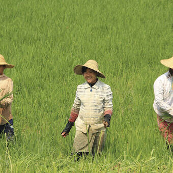 Begegnung auf dem Land 