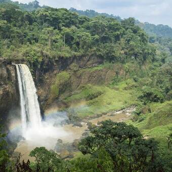 Ekom-Nkam Wasserfälle im Regenwald 