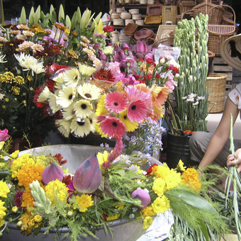 Marktfrau in Hoi An 