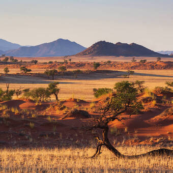Unterwegs in der Namib Wüste © Manok - stock.adobe.com