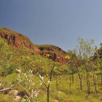 Landschaft bei El Questro 