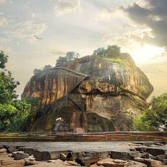 Vogel über Sigiriya 