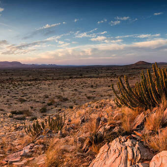 Kalahari-Region in Südafrika © Dewald Kirsten Photography