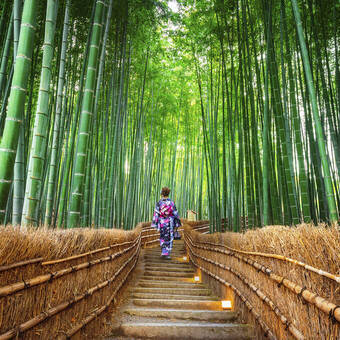 Der Bambushain von Arashiyama, Japan 