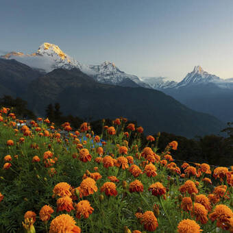 Sonnenaufgang über dem Annapurna-Massiv 