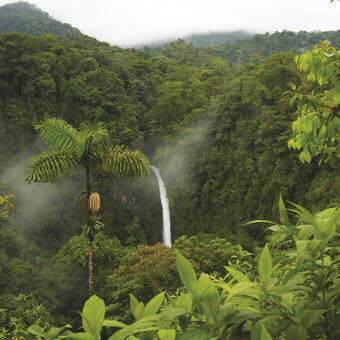 Der Wasserfall La Fortuna 