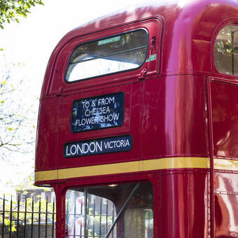 Red London Bus 