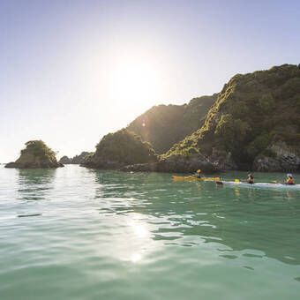 Kajakfahrt im Abel Tasman-Nationalpark 