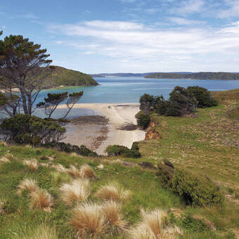 Island Stewart 