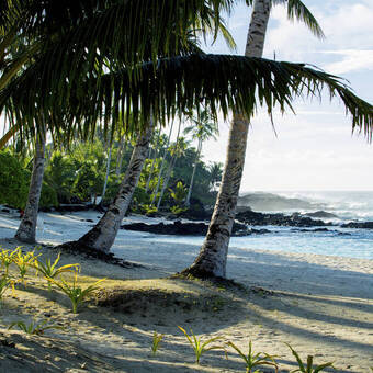 Unberührte Küste von Upolu, Samoa 