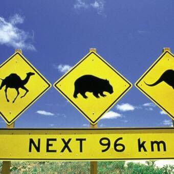 Unterwegs auf dem Eyre Highway 