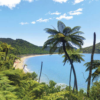 Abel Tasman Nationalpark 