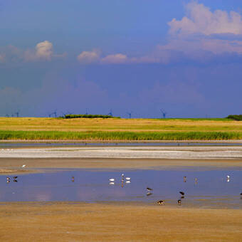 Einsame Puszta-Landschaft © Wolfgang Simlinger - stock.adobe.com