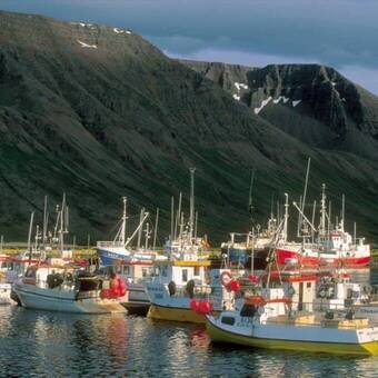 Fischerhafen in den Westfjorden, Island 