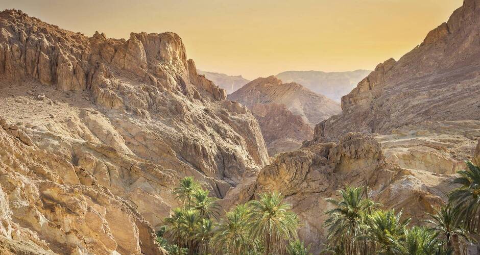 Blick auf die schöne Bergoase Chebika 