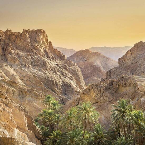 Blick auf die schöne Bergoase Chebika 