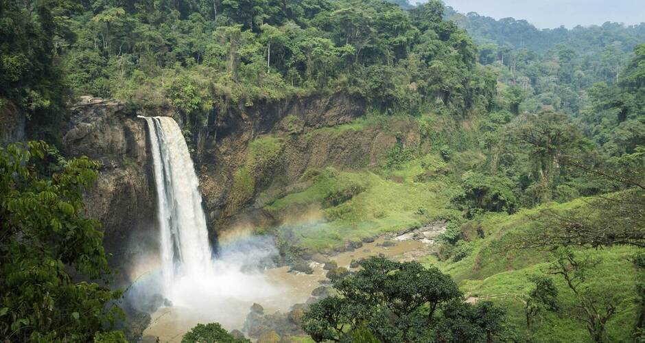 Ekom-Nkam Wasserfälle im Regenwald 