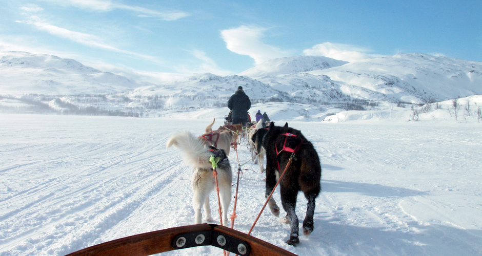 Unterwegs in Lappland 
