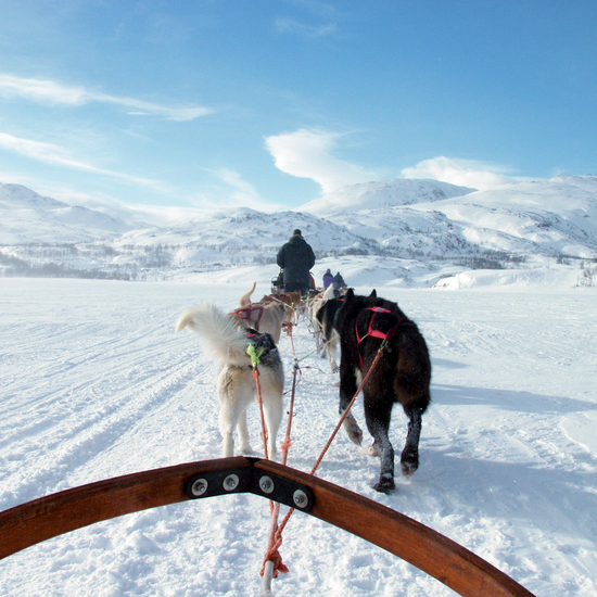 Unterwegs in Lappland 