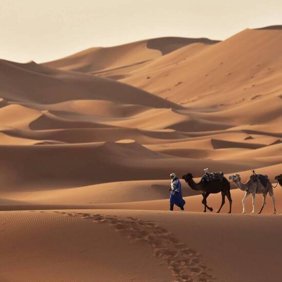 Unterwegs in der marokkanischen Wüste  © Marokko Inside/Ersel Karaman