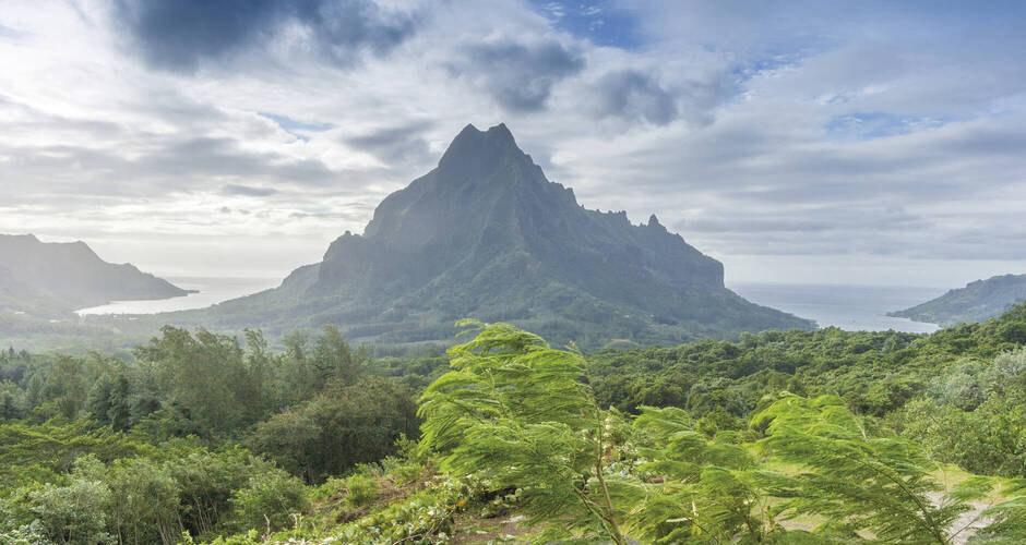 Blick auf die Cooks- und die Opunohu Bay, Moorea 