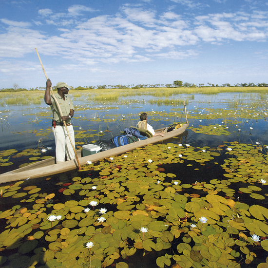 Im Mokoro unterwegs im Okavango-Delta 