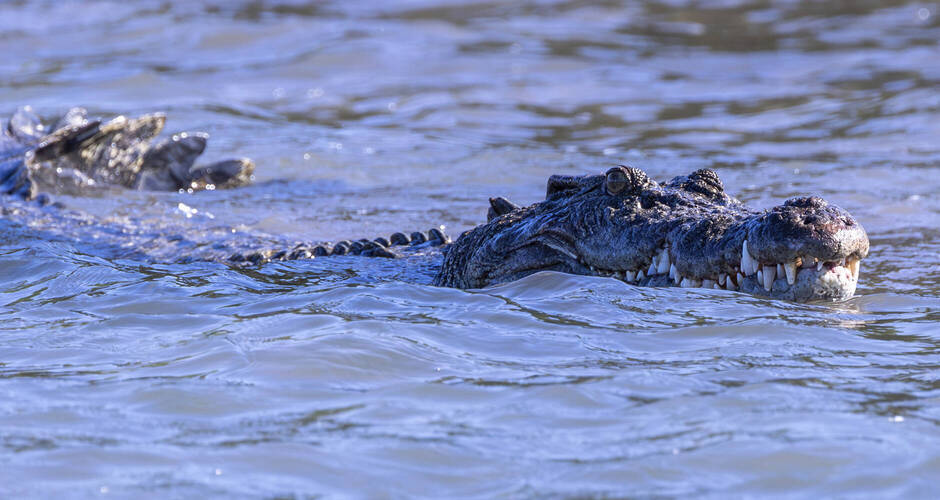  Heritage Expedition - Cathy Finch