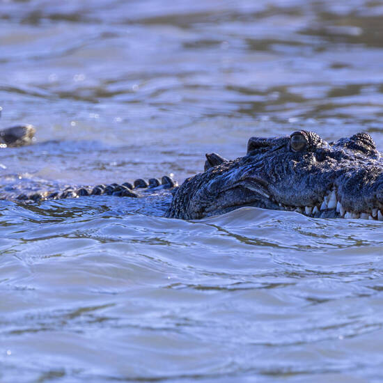  Heritage Expedition - Cathy Finch
