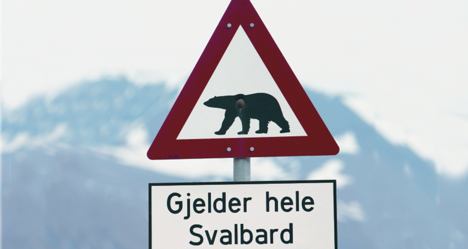 Vorsicht Eisbär 