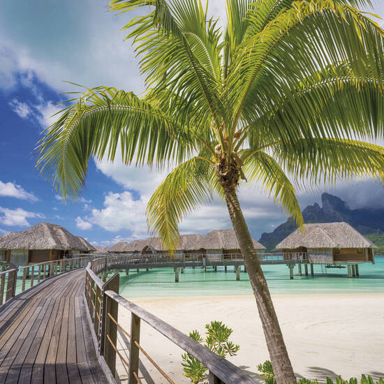 Road to Paradise 