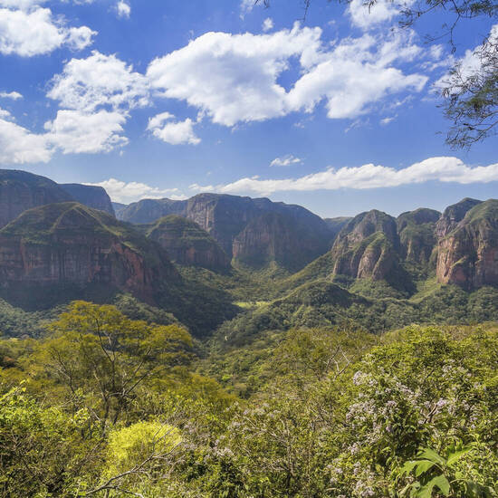 Blick in den Amboró-Nationalpark  